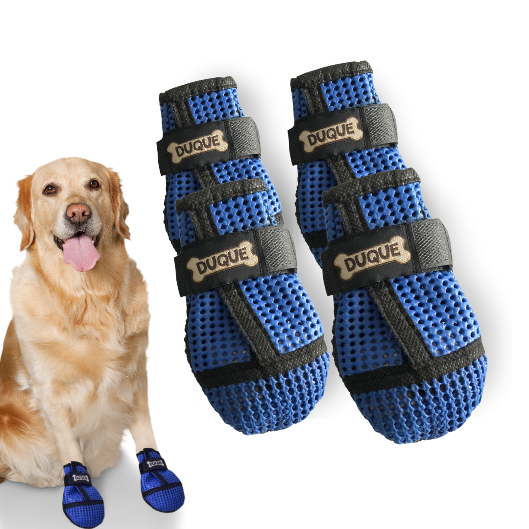 Sapatos Duque